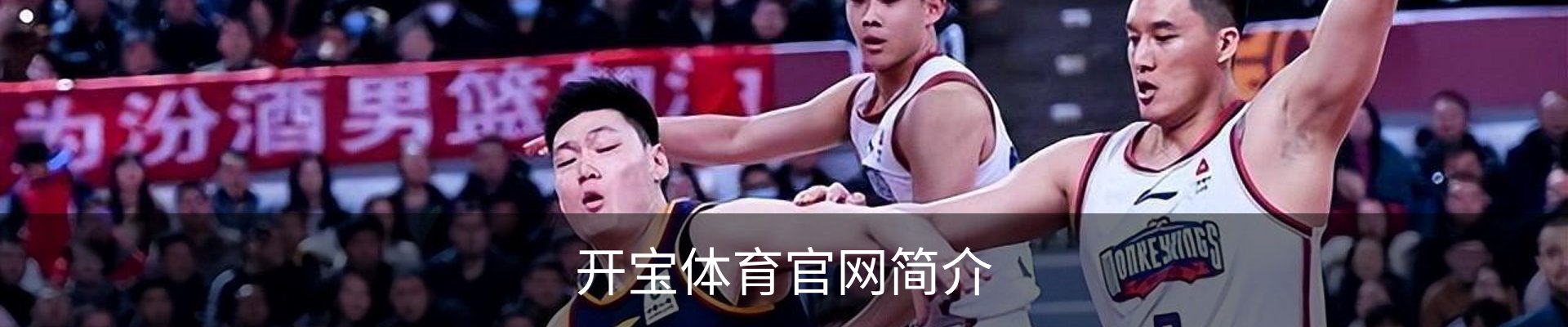 开宝体育官网简介